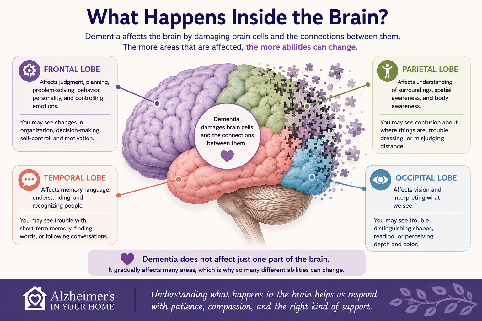 Diagram showing how dementia affects different areas of the brain and the abilities they control