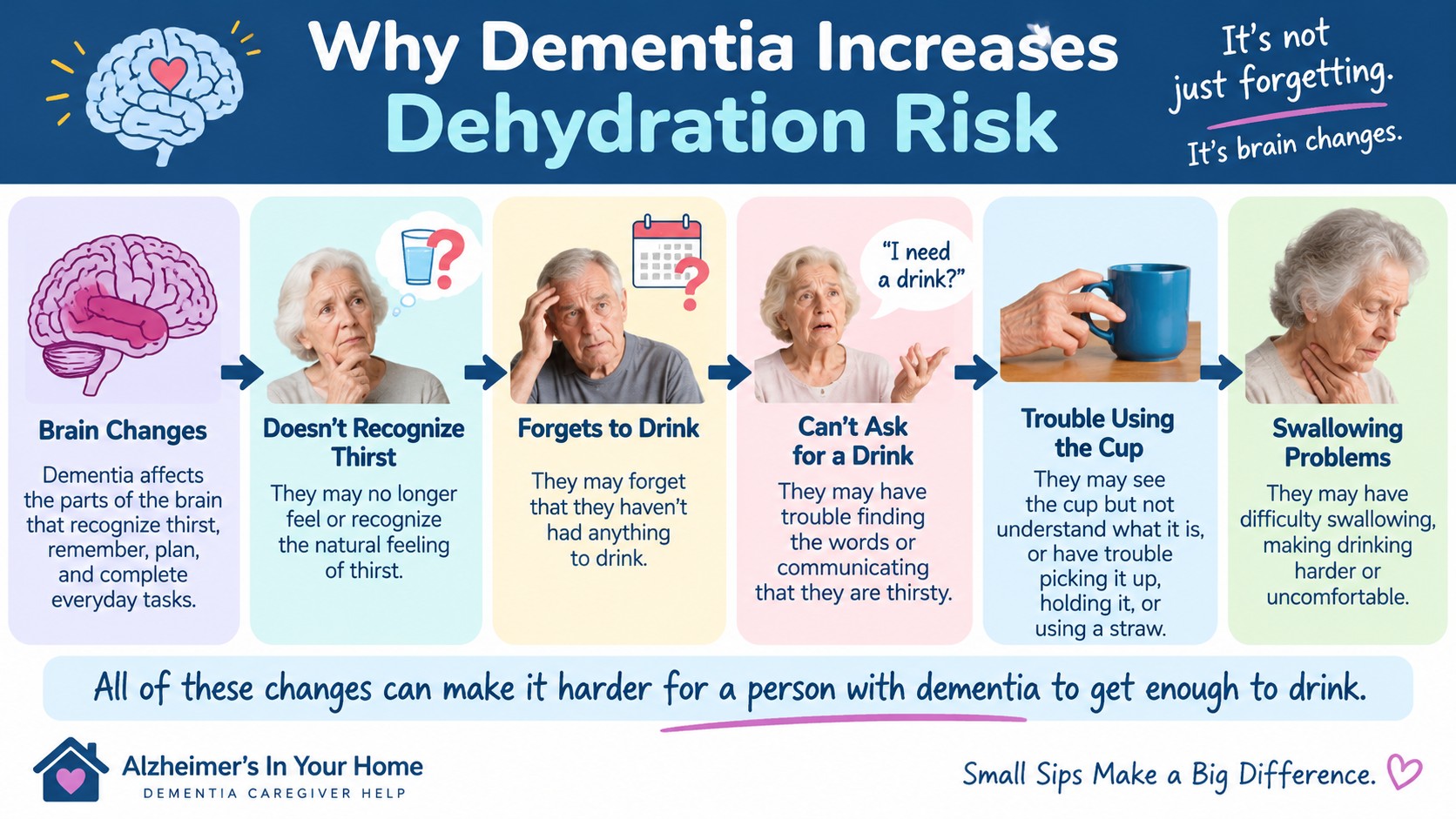 Infographic explaining why dementia increases dehydration risk, including not recognizing thirst, forgetting to drink, difficulty asking for a drink, trouble using a cup, and swallowing problems.